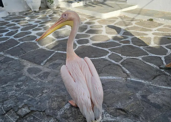 Apartman Vanila Mykonos Town