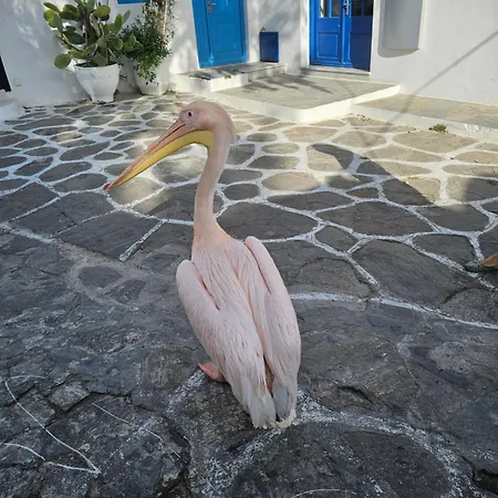 Apartman Strawberry Mykonos Mykonos Town